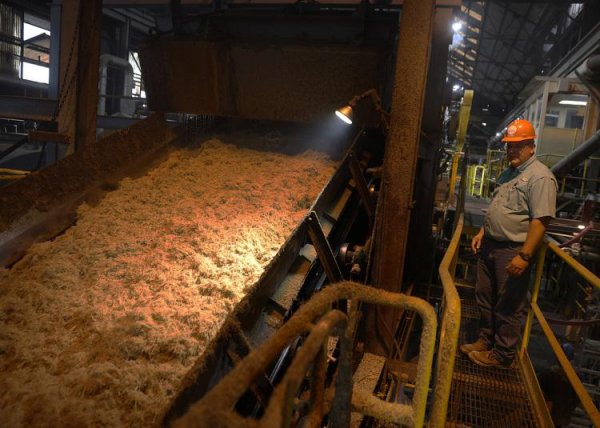 聚宏鑫操盘 可口可乐推新品, 回应特朗普?