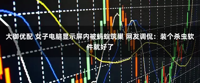 大御优配 女子电脑显示屏内被蚂蚁筑巢 网友调侃：装个杀虫软件就好了